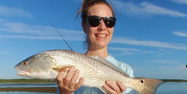 Florida's Crimson Beauty